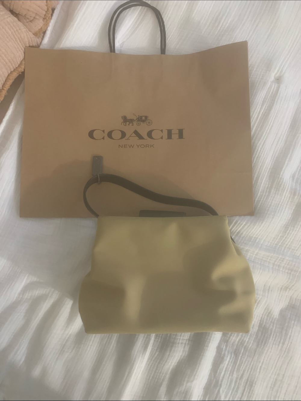 Coach Vintage Shoulder Bag in Light Beige with Dark Strap